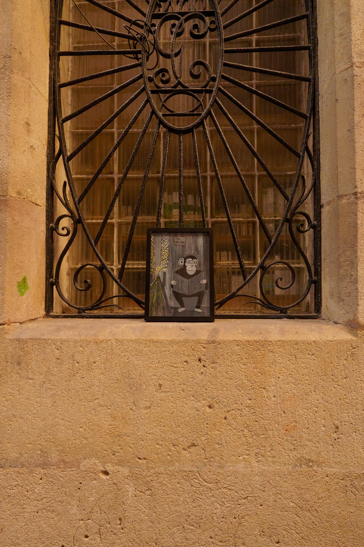 Amigo 02